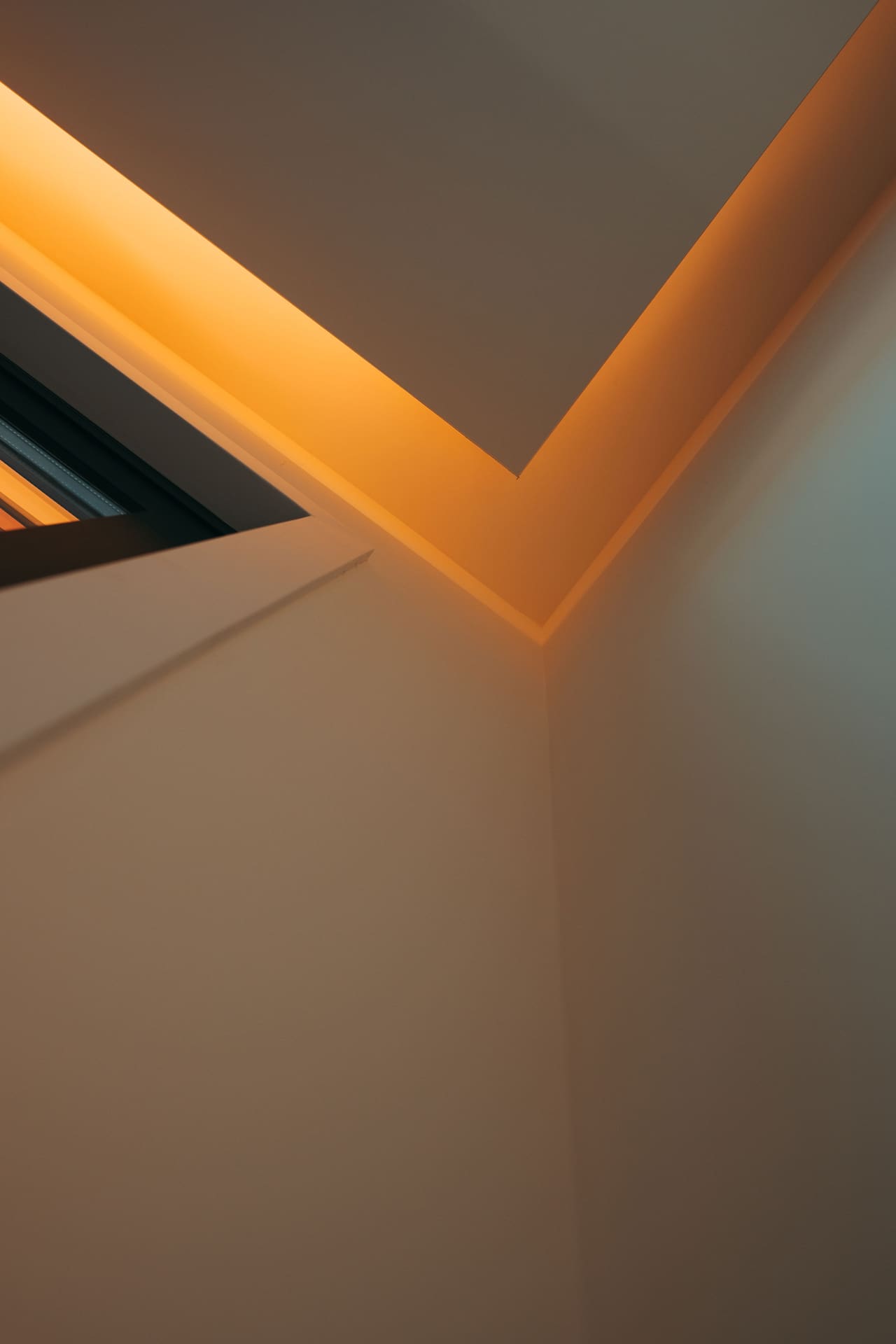 The Line — pormenor do teto com iluminação embutida
